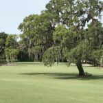 Beautiful scene on a golf course in Florida.