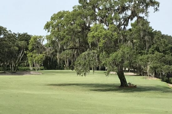 Beautiful scene on a golf course in Florida.