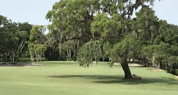 Beautiful scene on a golf course in Florida.