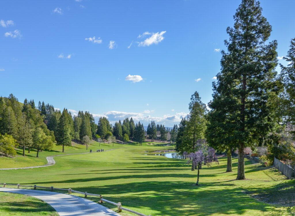 Which Public Golf Courses Offer The Most Scenic Views?